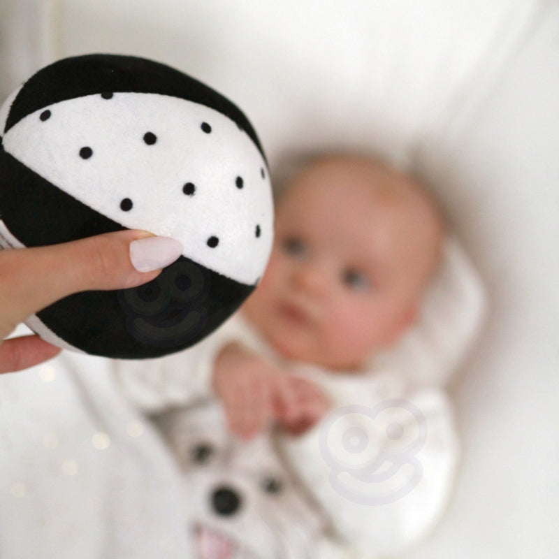 d45fa9e7d880c72315dca7a1d35eceb5