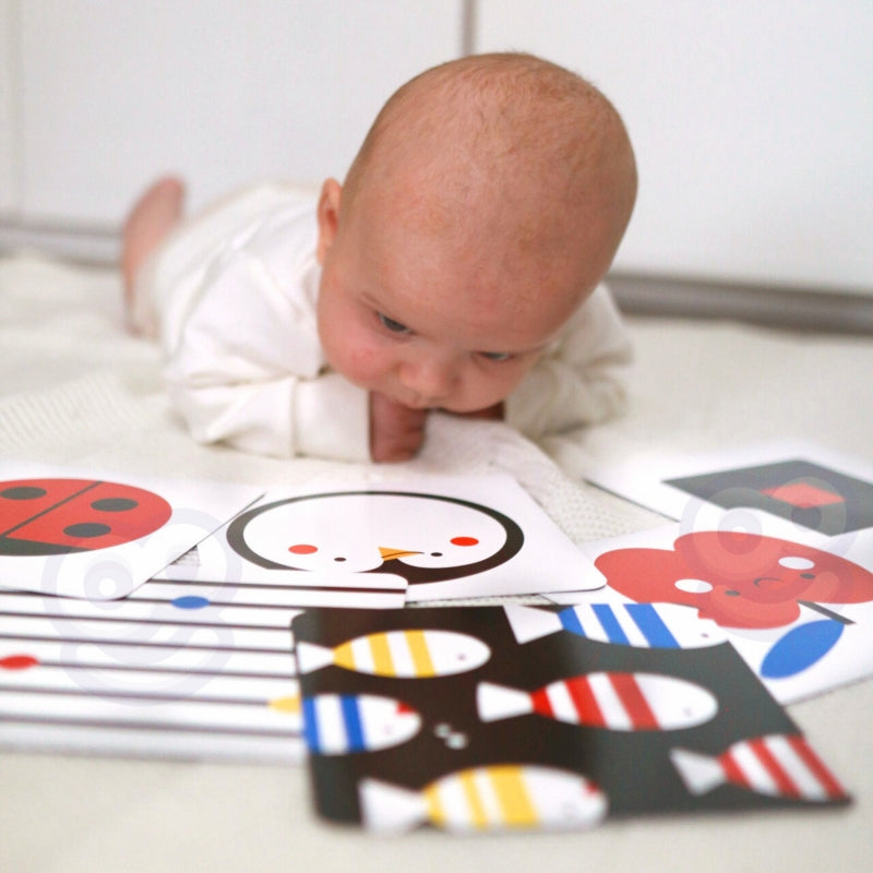 a017b1589b52540797f0b3bbd27db07c