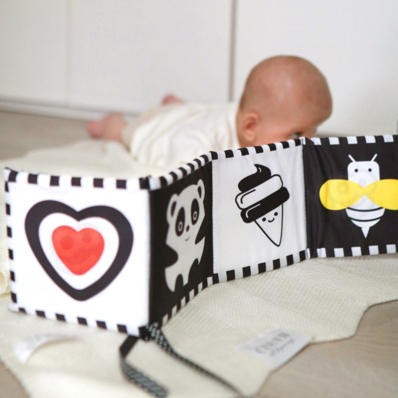 d3f6e4b9a61e9988ff3760e67e17a5cc