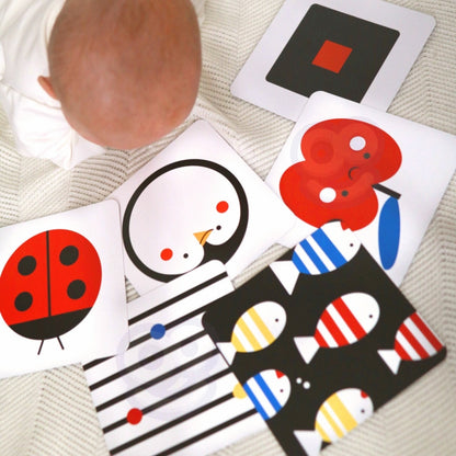 8039595e671dc5dec9bbbd1cfbf361fa