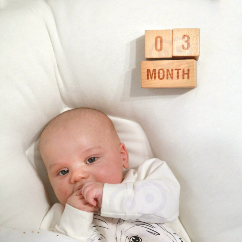 40ab6c6cd6e2bb0f97585356999ae729