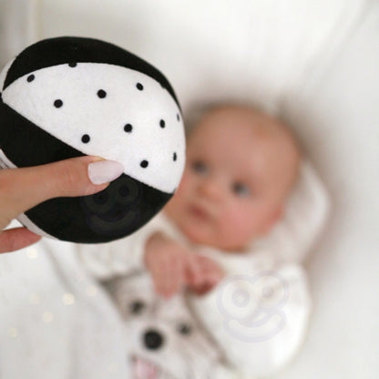 d45fa9e7d880c72315dca7a1d35eceb5