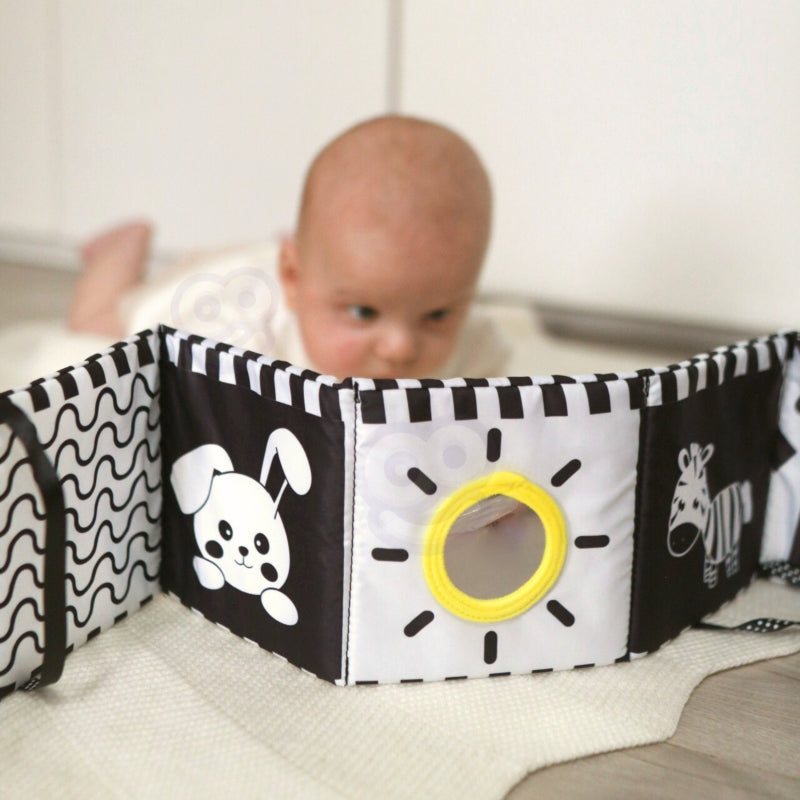 c87046d6cf79c31453d5f47fc90d10ab