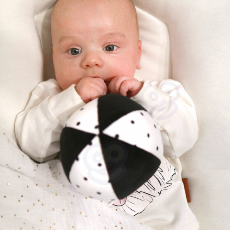 a74ffa279875cf2d2f7e5bd66486a9e5