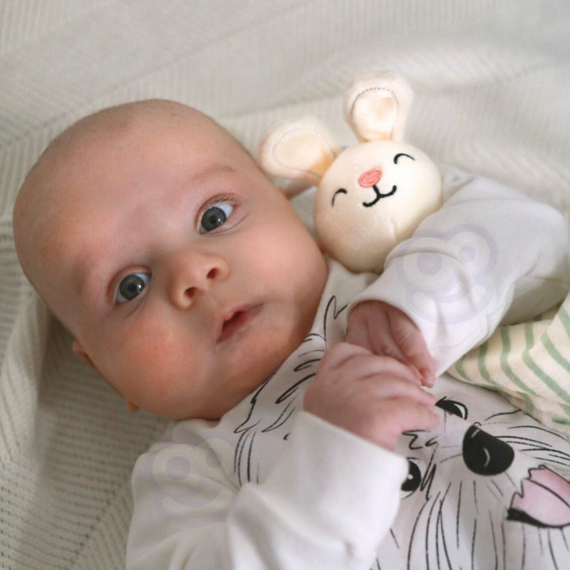 ef53c761bb7864d4a8082ed4c4d5e79e